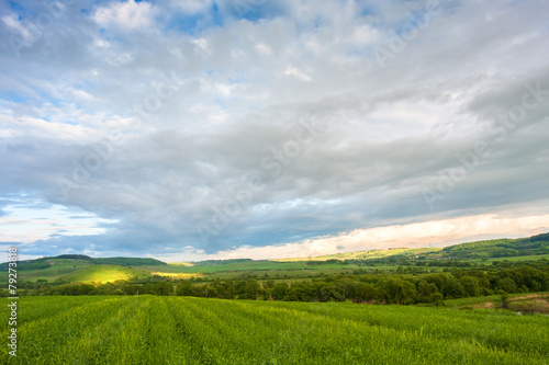 Fields of barley