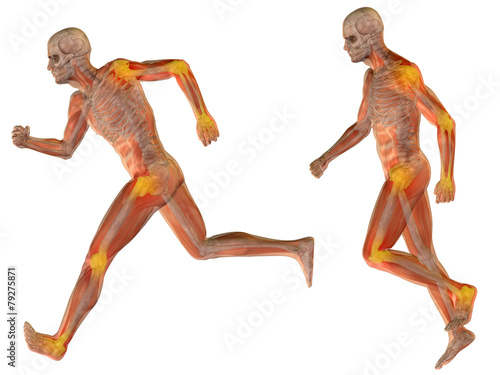 3D human man pain anatomy isolated © high_resolution