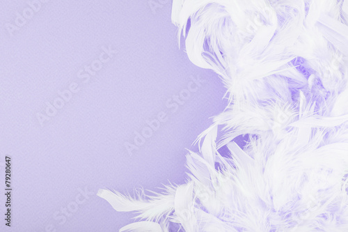 Purple background with feathers