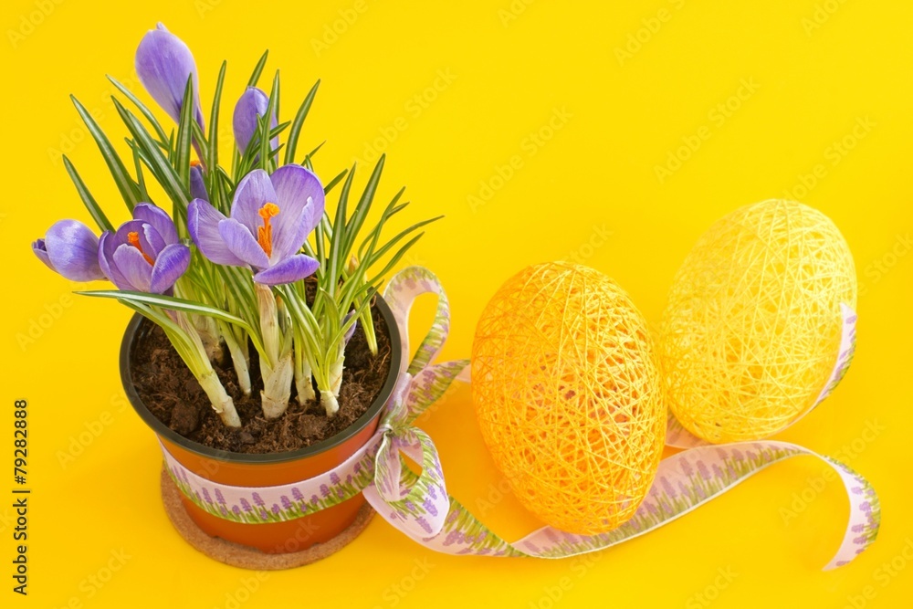 Eggs, Crocuses, Easter Eggs, Crocuses, Easter