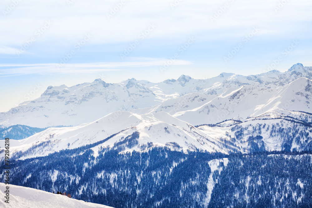 Fototapeta premium Winter landscape of magnificent Caucasus mountains