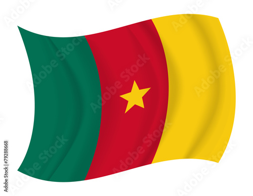 Cameroon flag waving vector