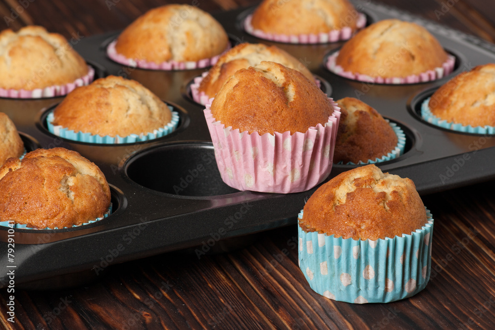 Plain Cupcakes In Baking Tray Plain Cupcakes In Baking Tray