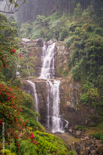 Waterfall in deep forest near Nuwara Eliya in Sri Lanka.