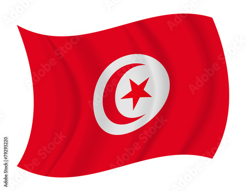 Tunisia flag waving vector