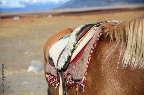 Closeup of horse saddle in Patagonian steppe, Argentina