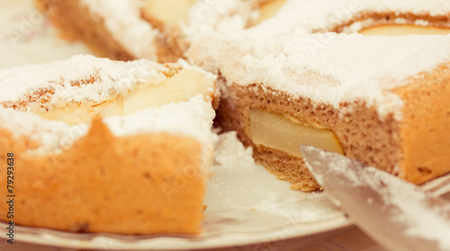 biscuit cake with icing sugar