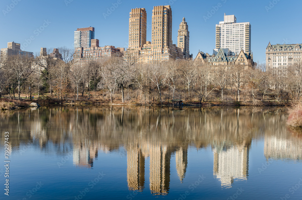 Central Park in Winter and Upper West Side Skyline
