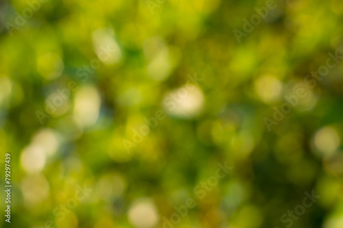 Abstract green natural bokeh background