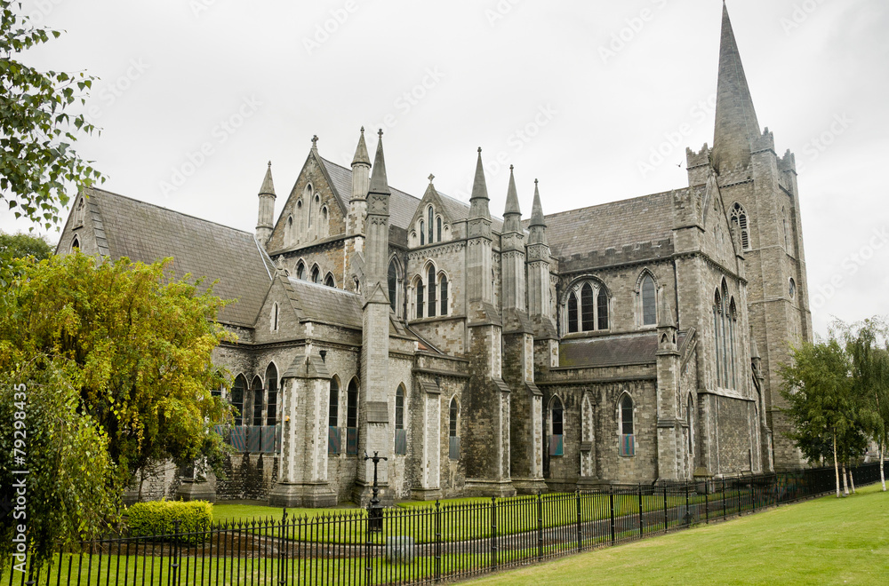 Fototapeta premium View of Saint Patrick cathedral in Dublin, Ireland, cloudy day