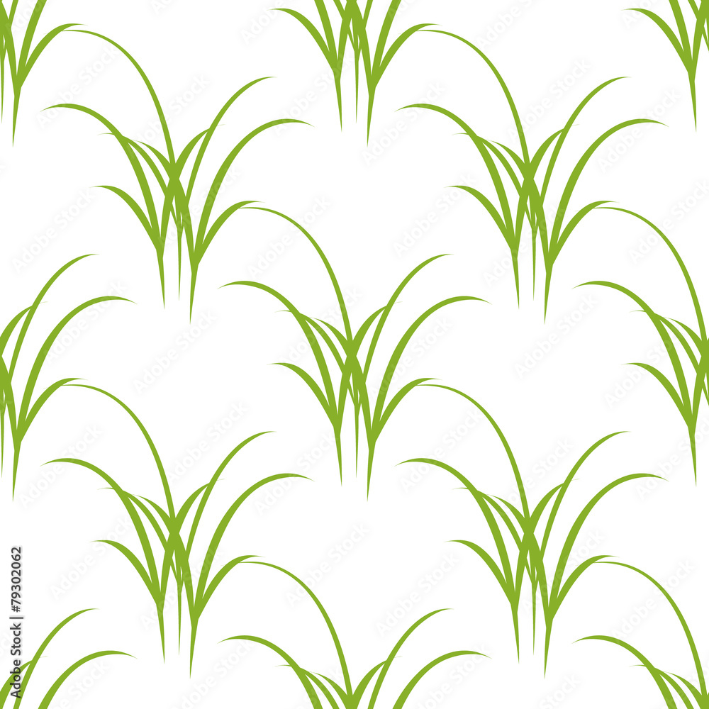 Natural grass texture