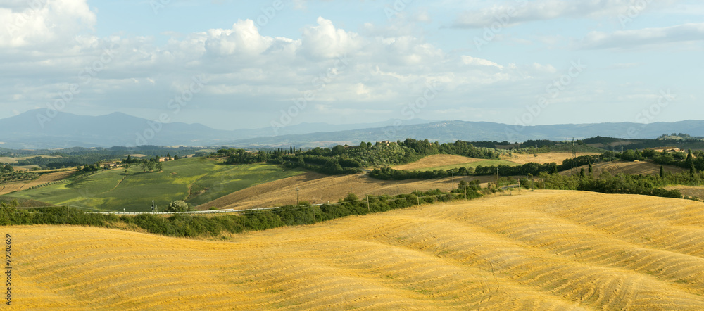 Crete Senesi (Tuscany, Italy)