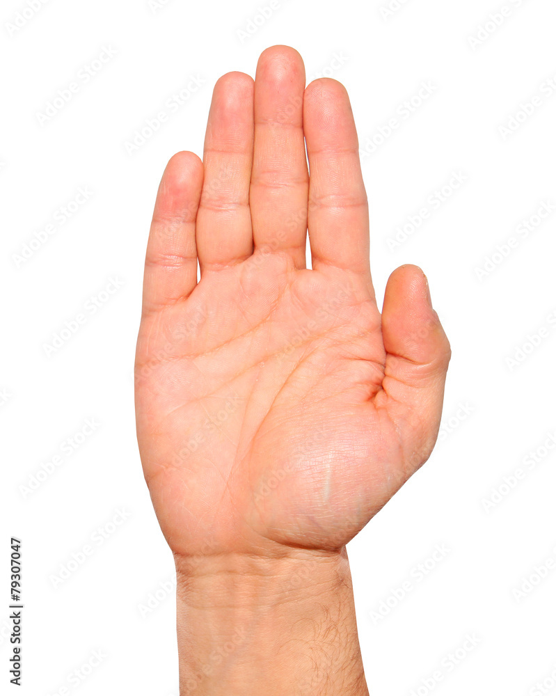 Open palm hand gesture of male hand Isolated Open palm hand gesture of male hand Isolated