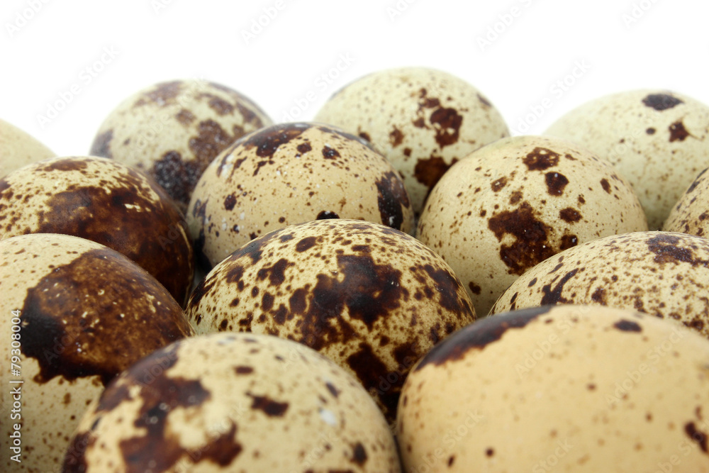 Many quail eggs Many quail eggs
