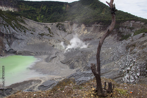 Crater of Tangkuban Perahu. Bandung in Jawa, Indonesia photo