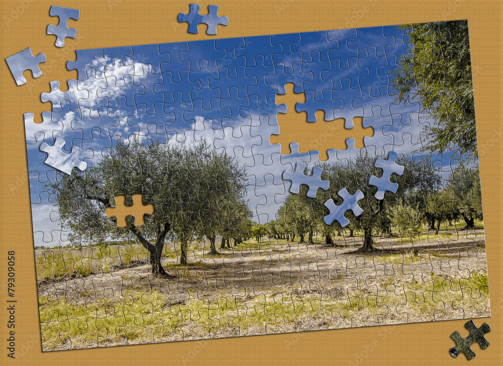 Foto puzzle in costruzione su tavolo Stock Illustration | Adobe Stock