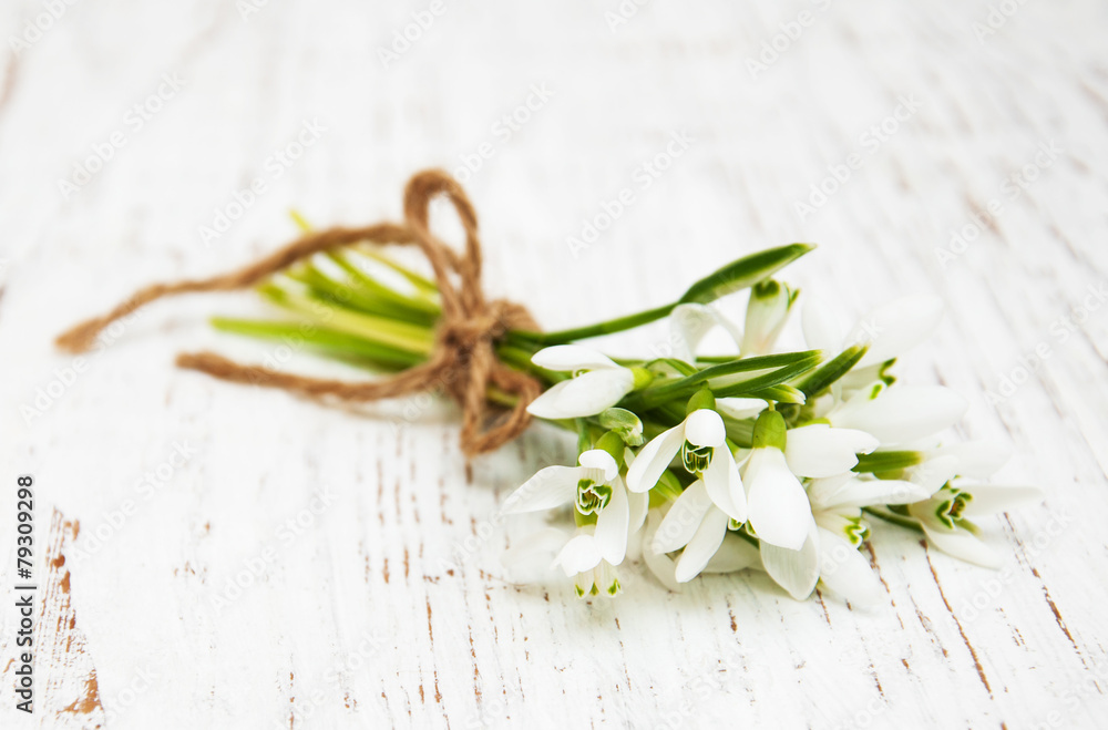 snowdrops bunch on wooden background snowdrops bunch on wooden background