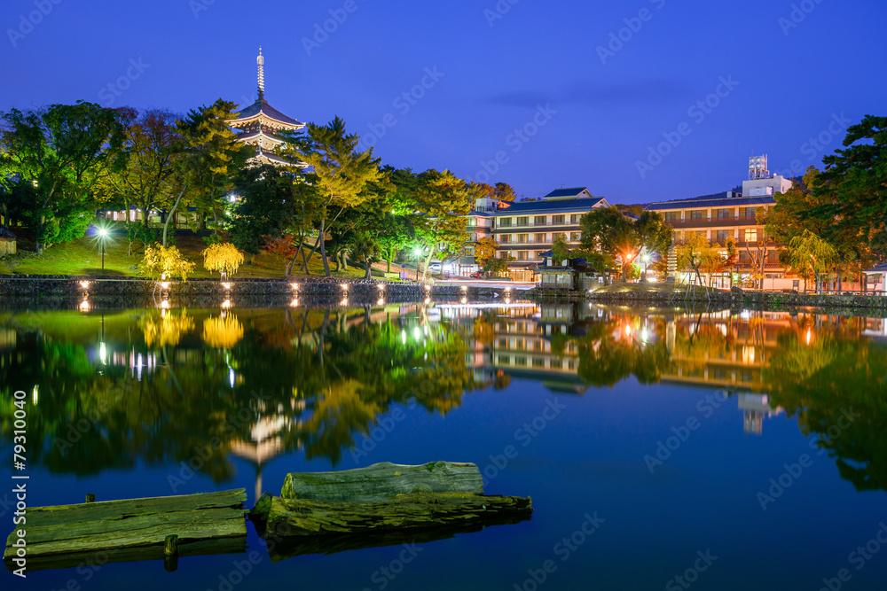 Nara, Japan Skyline at the Pond