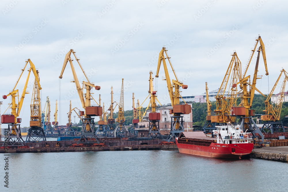 Lifting cranes at the port