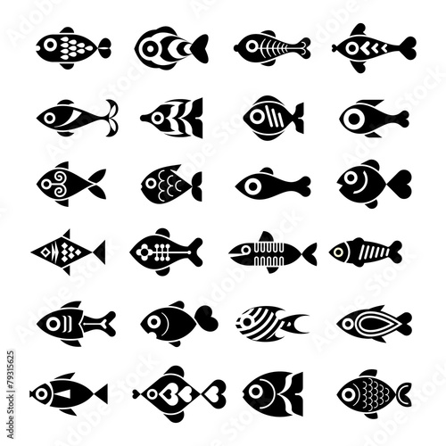 Photography Fish icon set