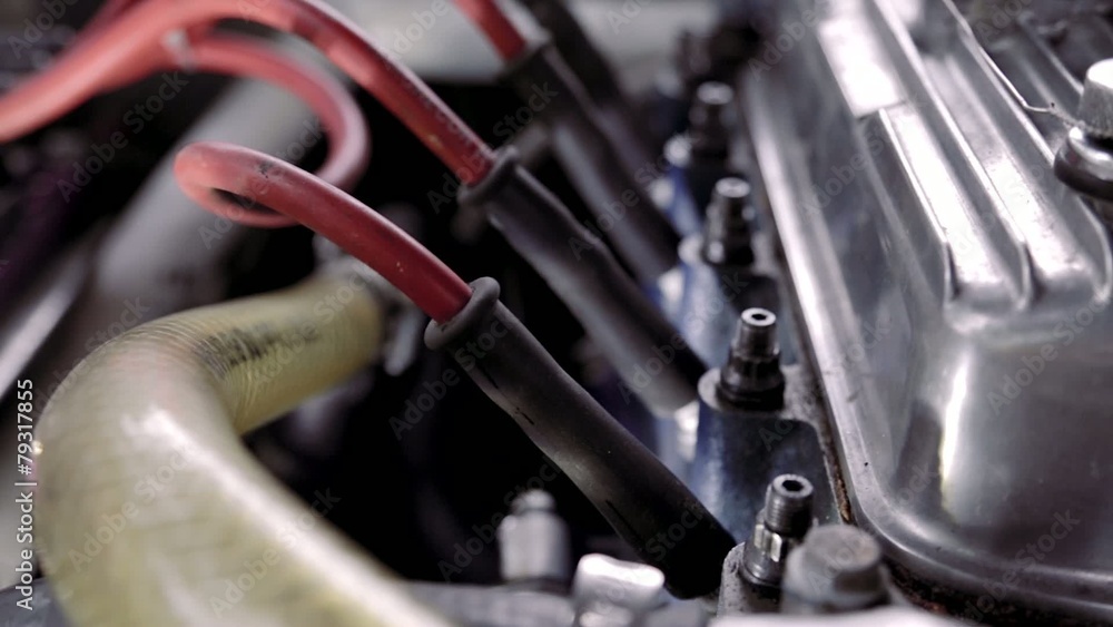 Hoses in engine Hoses in engine