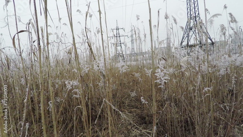 Wallpaper Mural Power transmission lines Torontodigital.ca