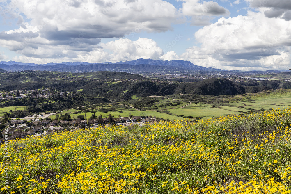 Fototapeta premium California Meadows