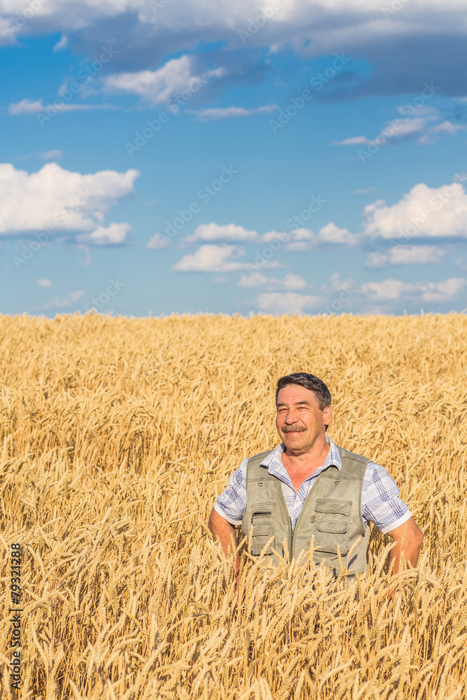 farmer standing in a wheat field farmer standing in a wheat field