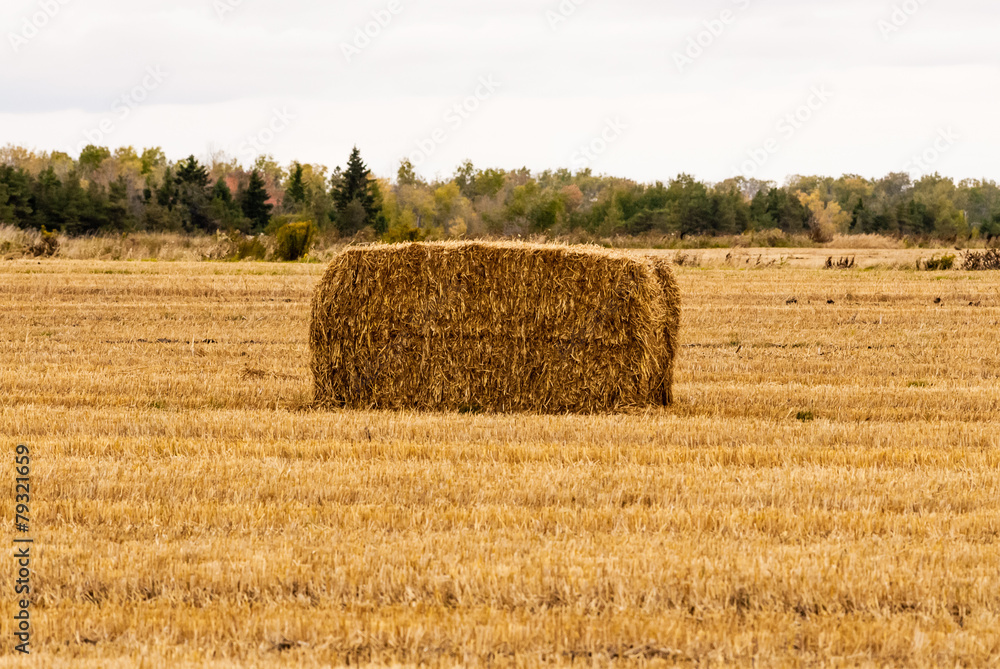 Single yellow hay bale in empty field