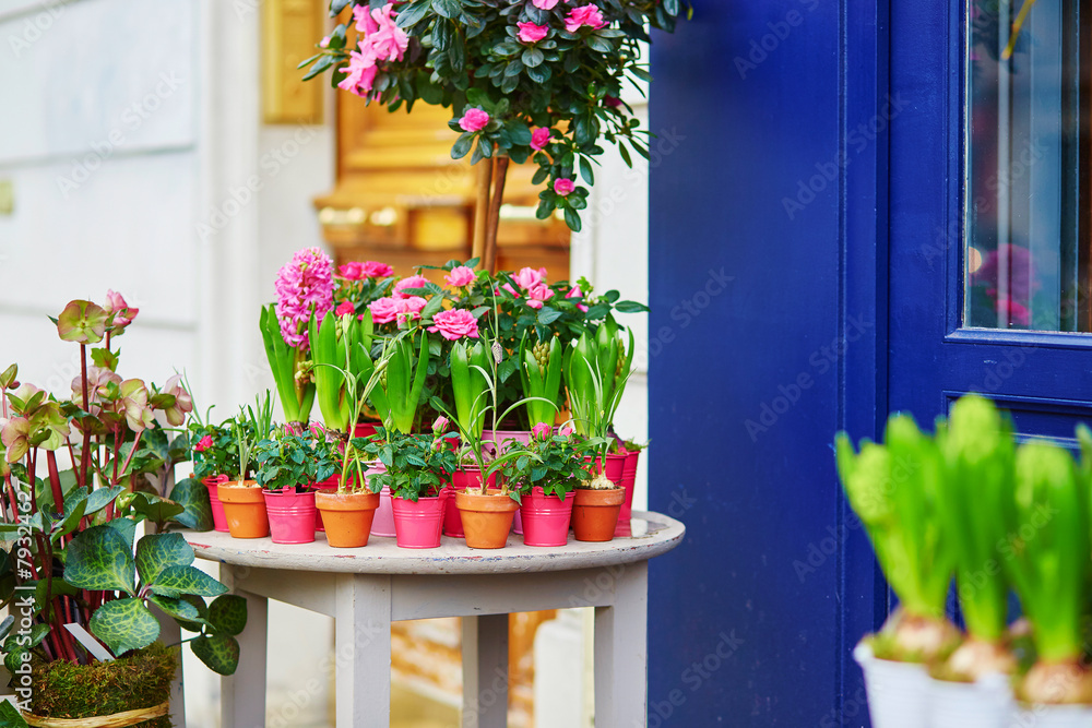 Fototapeta premium Fresh beautiful roses on a flower market