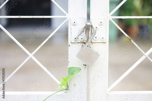 White Gate fence and Master key