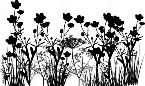 black flowers and grass isolated on white © Alexander Potapov