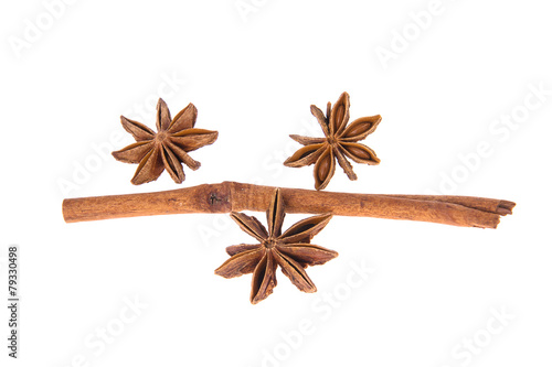 Dried Cinnamon, Anise. Isolated