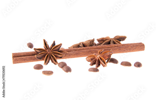 Dried Cinnamon, Anise. Isolated