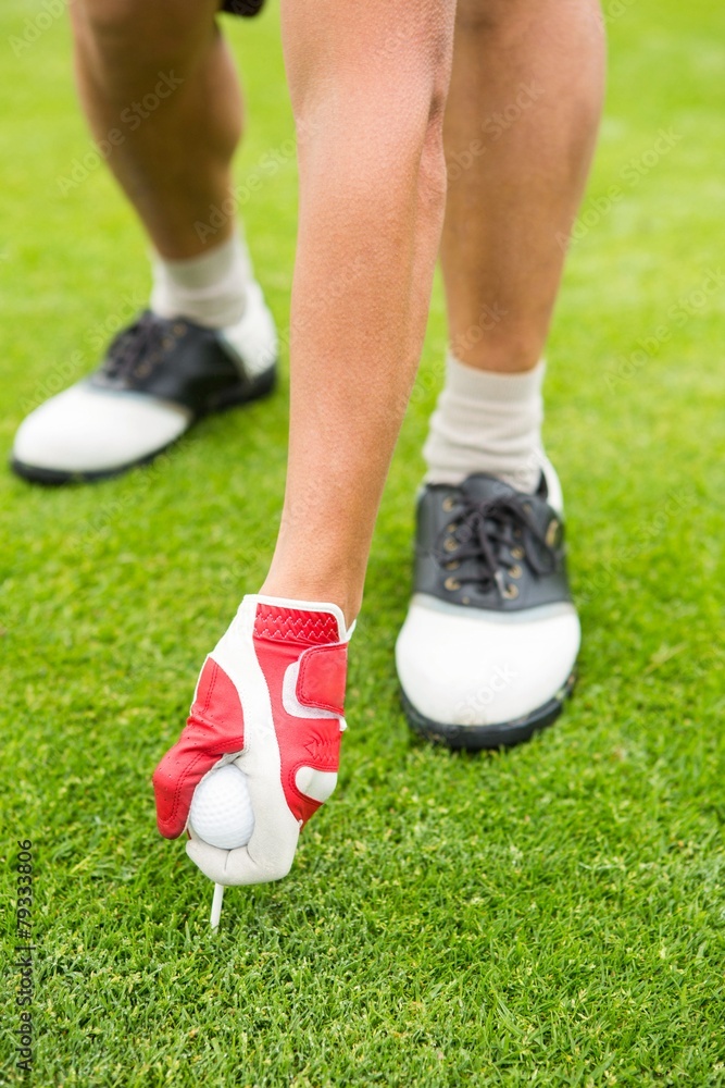 Fototapeta premium Golfer placing golf ball on tee