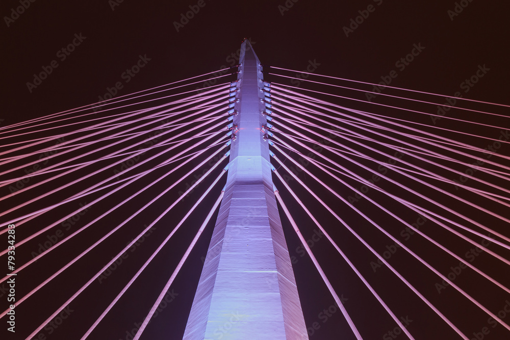 Obraz premium modern bridge at night