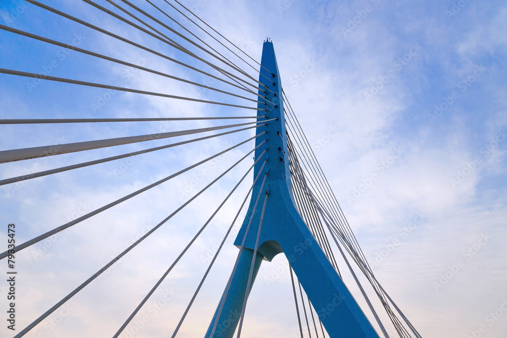 Naklejka premium Suspension bridge