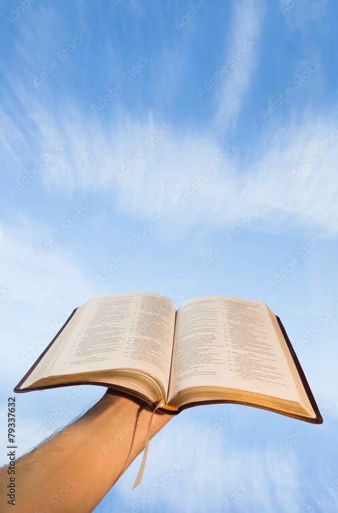 Obraz premium Man praying with his bible