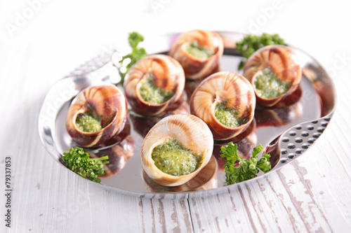 bourgogne escargot
