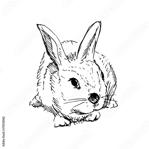 Hand sketch rabbit. Vector illustration