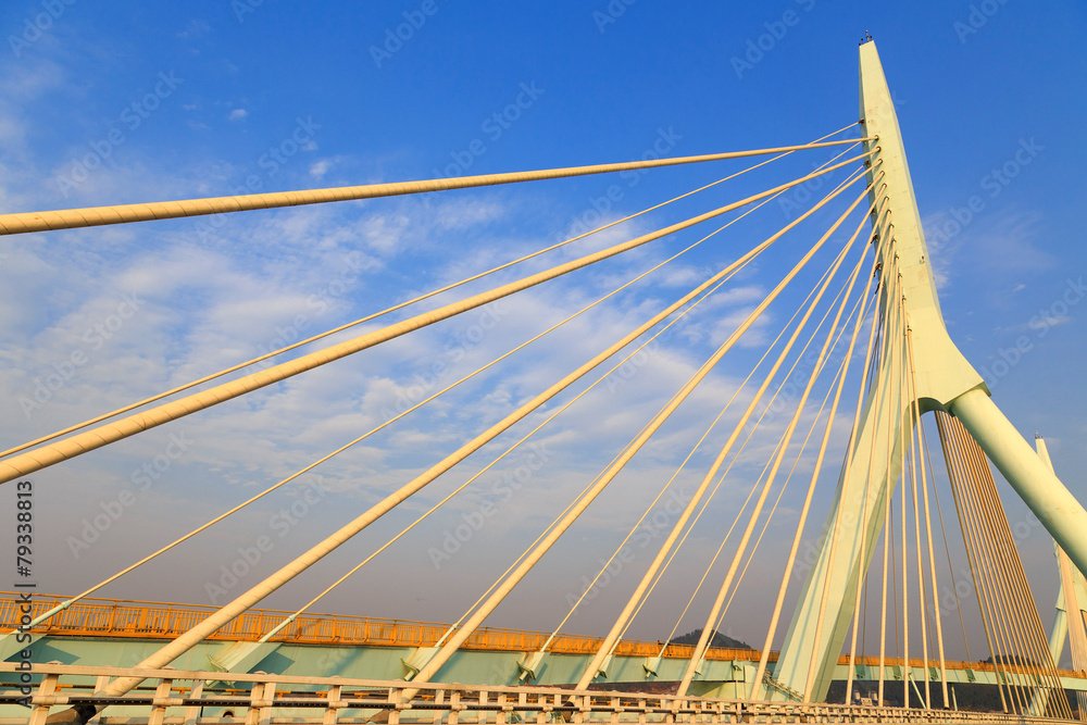 Fototapeta premium Suspension bridge