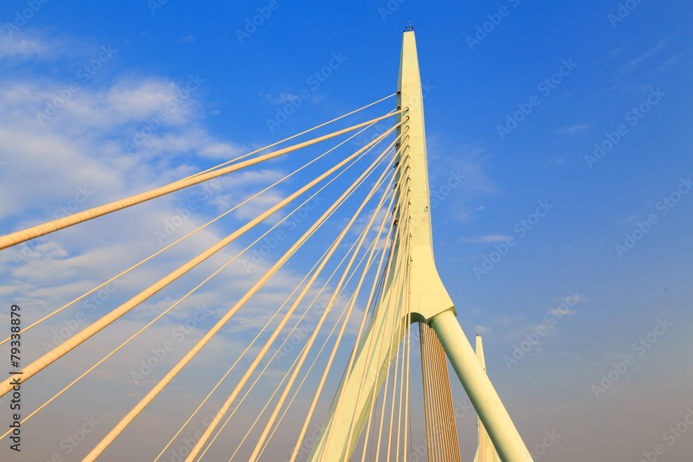 Fototapeta premium Suspension bridge