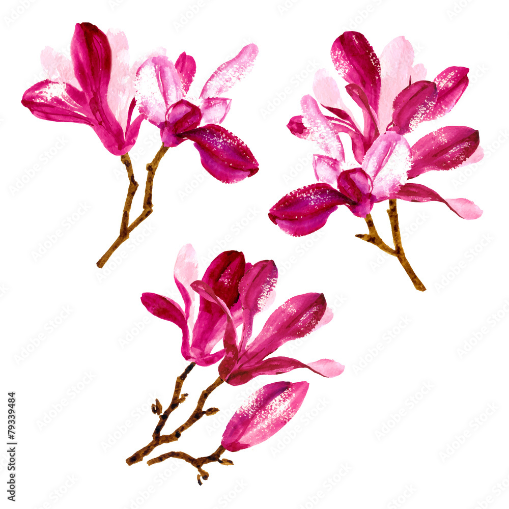 Fototapeta premium Set of red watercolor magnolia flowers