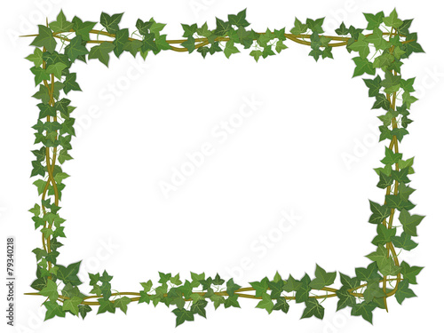 square decorative frame of ivy branches