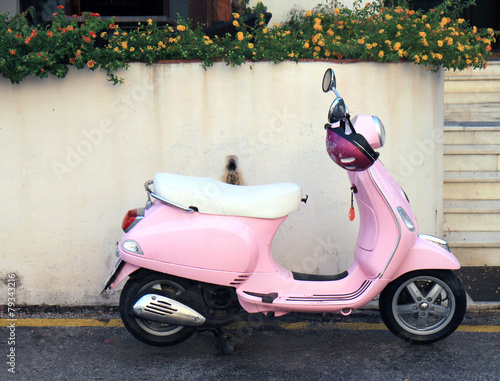 Pink Scooter photo