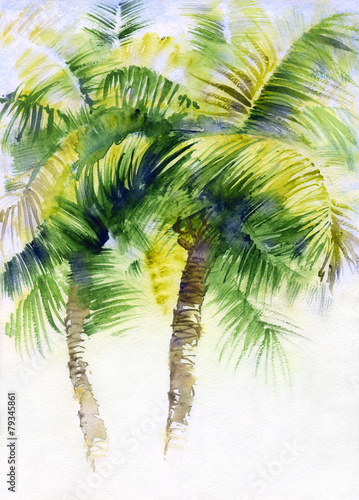 Watercolor painting with tropical palms