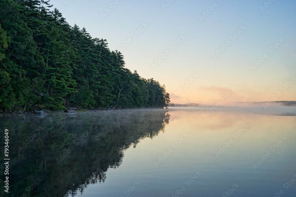 Naklejka premium Reflected trees and mist at Toddy Pond, Maine