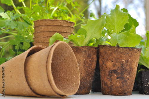 pots de culture biodégradables