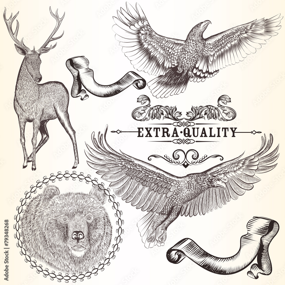 Fototapeta premium Collection of vector decorative animals for design