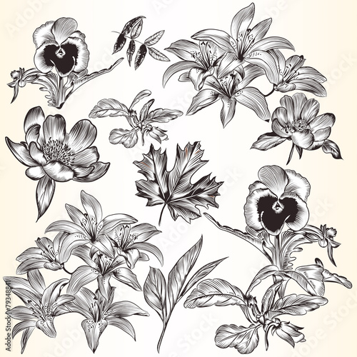 Fototapeta Naklejka Na Ścianę i Meble -  Collection of vector decorative hand drawn flowers for design